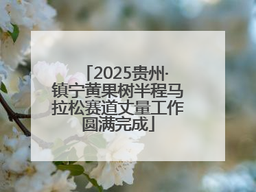 2025贵州·镇宁黄果树半程马拉松赛道丈量工作圆满完成