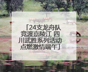 24支龙舟队竞渡嘉陵江 四川武胜系列活动点燃激情端午