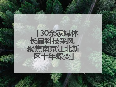 30余家媒体长晶科技采风 聚焦南京江北新区十年蝶变