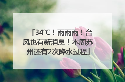 34℃！雨雨雨！台风也有新消息！本周苏州还有2次降水过程