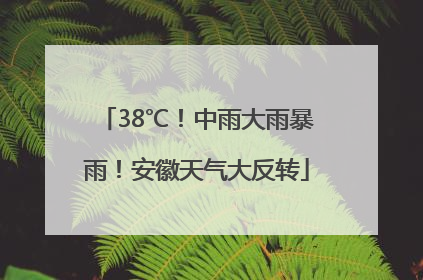 38℃！中雨大雨暴雨！安徽天气大反转