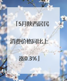 5月陕西居民消费价格同比上涨0.3%