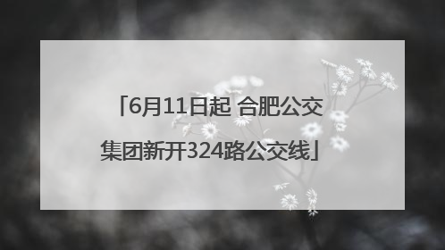 6月11日起 合肥公交集团新开324路公交线
