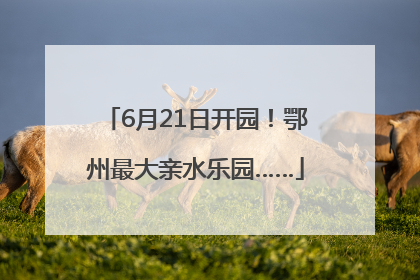 6月21日开园！鄂州最大亲水乐园……
