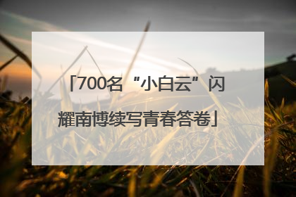 700名“小白云”闪耀南博续写青春答卷