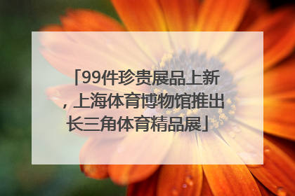 99件珍贵展品上新，上海体育博物馆推出长三角体育精品展