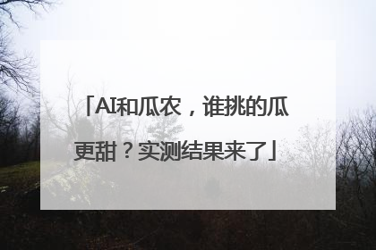 AI和瓜农，谁挑的瓜更甜？实测结果来了