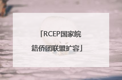 RCEP国家皖籍侨团联盟扩容