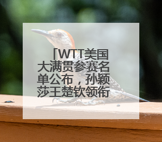 WTT美国大满贯参赛名单公布，孙颖莎王楚钦领衔参赛